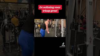 Dit is de oefening voor tricepgroei triceps armworkout workout fy fypage [upl. by Harvison]