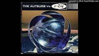 The Auteurs Vs µZiq  Lenny Valentino 1 [upl. by Eserehc]