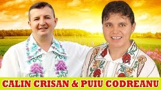 MUZICA POPULARA CU CALIN CRISAN SI PUIU CODREANU COLAJ NOU 2014 [upl. by Aneras566]