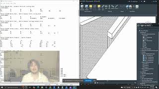 REVIT 2025 Brique appareillage flammand pat file hidden line et rendu [upl. by Kcirdnekal701]