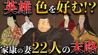 【歴史解説】家康と22人の妻たち！？こんなに沢山？【MONONOFU物語】 [upl. by Lenor]