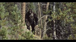 The Clearest Sasquatch Photo Ever  Hunter Gets UP CLOSE Shot Of GIANT BIGFOOT  bigfoot 2024 [upl. by Aid]