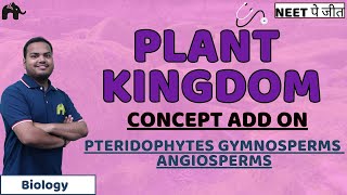 Plant Kingdom Class 11 Biology NEET  Pteridophytes Gymnosperms Angiosperms [upl. by Doughty]