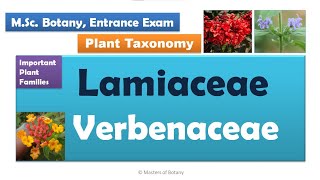 Lamiaceae amp Verbenaceae  MSc Botany Entrance  Angiosperm Families  Important Notes [upl. by Blondelle]