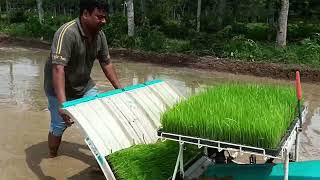 समय की बचत और पैसे की बचत करने वाली मशीन paddy transplanter [upl. by Nobel]