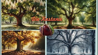 Die Kastanie [upl. by Dnalrag]