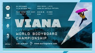 World Bodyboard Championship Viana do Castelo 2017  Day 5 [upl. by Berga]