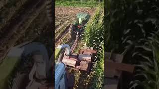 Corn silage 2024 cropchopper farming chopping farm [upl. by Dustin375]