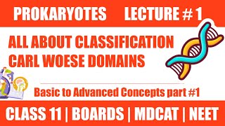 COMPLETE CLASSIFICATION IN 10 MINUTES LECTURE 3  CHAP PROKARYOTES  CLASS 11NMDCAT NEET [upl. by Adnahsat]