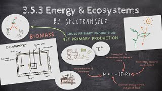 EASY REVISION AQA ALevel Biology 353 Energy amp Ecosystems [upl. by Anotyad]