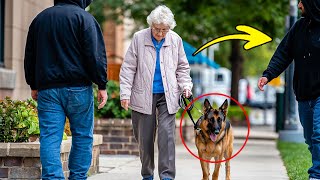 Men Attack Elderly Woman Without Knowing Her Rescued Dog Was A Former Police Officer [upl. by Ulita]