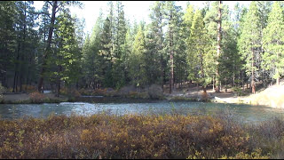 Fly Fishing The Metolius River Oregon [upl. by Lucier]