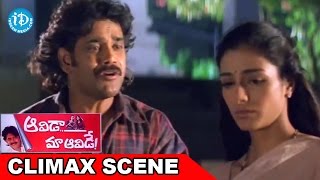 Aavida Maa Aavide Movie Climax Scene  Nagarjuna  Tabu  Heera [upl. by Ltney665]