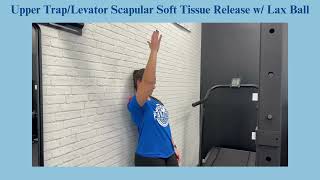 Upper TrapLevator Scapular Soft Tissue Release w Lax Ball [upl. by Tonina]