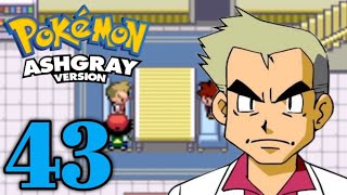 Pallet Town  Pokemon Ash Gray Hindi Gameplay [upl. by Esined564]