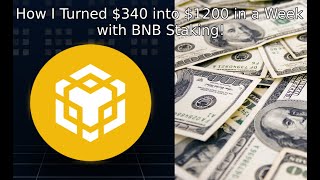 How I Turned 340 into 1200 in a Week with BNB Staking [upl. by Gradey691]