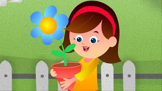 Mary Mary Quite Contrary  Nursery Rhyme [upl. by Ellinnet]