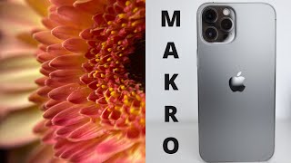 Makrofotografie mit dem Smartphone  iPhone  Tipps und Tricks Deutsch [upl. by Sinnaiy822]