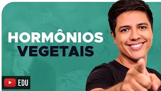 HORMÔNIOS VEGETAIS  Auxina Giberelina Citocinina Etileno e Ácido abscísico  Prof Kennedy Ramos [upl. by Timotheus]