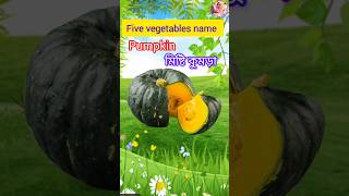 Five vegetables name English to Bangali daliaonlineschoolbd pumpkin ytshorts viralvideo [upl. by Nedak]