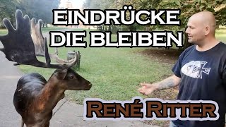 René Ritter  Harmonie im Wildpark BadenWürttemberg [upl. by Erbua]