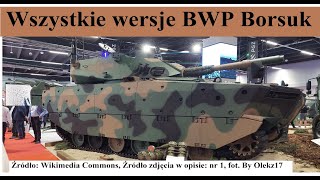 Wszystkie wersje BWP Borsuka [upl. by Einaj]