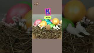 ABC Easter Spring Song  Letter MNPQ abcd [upl. by Demahum131]