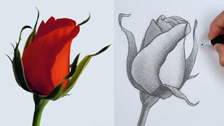 How to Draw FLOWERS using Basic SHAPES [upl. by Valentin]