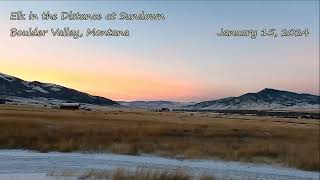 Sundown and Elk  Boulder Valley MT  Jan 15 2024 [upl. by Aihpled27]