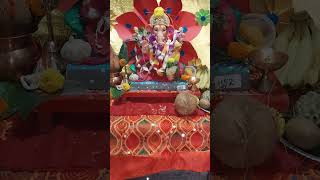 BAPPA MORYA RE ❣️😍🌺🙏 shorts short shortsfeedbappa bappastatusganpatibappamorya ganeshganpati [upl. by Brittnee]