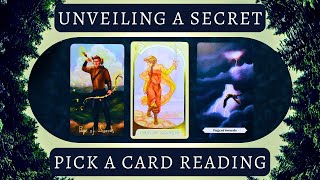 What Secret Has Been Hidden From You 🤫 Pick a Card Reading [upl. by Nowtna409]