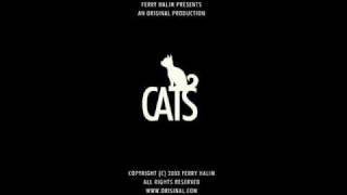 Cats  Orisinal MP3 Download [upl. by Ylicec]