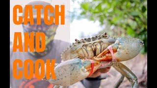 Tangkap KETAM Nipah  MUD CRAB CATCH and COOK  Malaysia [upl. by Leile198]