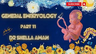 General Embryology  Part 11  3rd week of development 2  Dr Shehla Aman [upl. by Esaele]