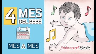 📆👶🏻 CUARTO MES del bebé  4 MES  Desarrollo y cuidados [upl. by Airekal563]