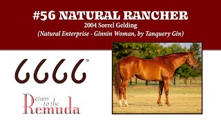 RTTR 2024  Hip 56 Natural Rancher [upl. by Dorlisa]