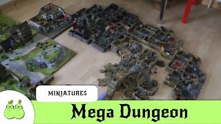 The Mega Dungeon 3D Miniature Project [upl. by Jessamine]