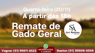 ENCERRADO Remate  20 de Novembro de 2024  MostardasRS [upl. by Attenrev493]