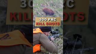 300 PRC KILL SHOTS [upl. by Donnell565]