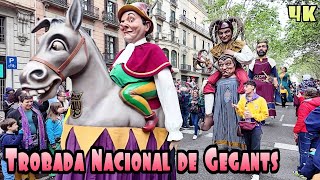 Encuentro Nacional de Gigantes Barcelona 2024 Celebration of 600 Years of Giants 4K [upl. by Aseefan]