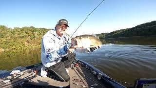 Using a Rattletrap when bass are chasing bait [upl. by Irma]