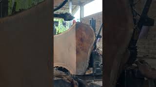 How to Cut Wood Like a Pro Sawmill Techniques Revealed [upl. by Ranite]