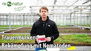 Trauermücken mit Nematoden bekämpfen [upl. by Adnyl]