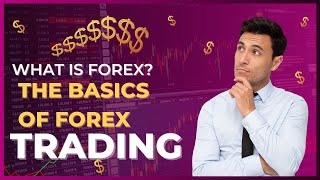 What is Forex The Basics Of Forex Trading  Pml Motivational Podcast [upl. by Nevanod969]