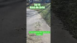 Day 44 Watch Me Shrink workout series christmas weightloss watchmeshrink walkingworkout fyp [upl. by Atinaujnas]