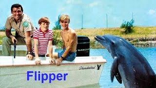 Flipper Theme Song Intro [upl. by Anyr]