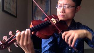 NFL Broadcast Theme Songs  Violin Cover [upl. by Moth]