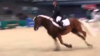 Haflinger Hengst Welano am Sprung [upl. by Arykat]