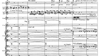 Mahlers 1st Symphony quotTitanquot Audio  Score [upl. by Zednanref]