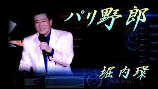 パリ野郎 堀内環 （第２５回リサイタル  ２０１１ヤクルトホール） [upl. by Oiramed726]